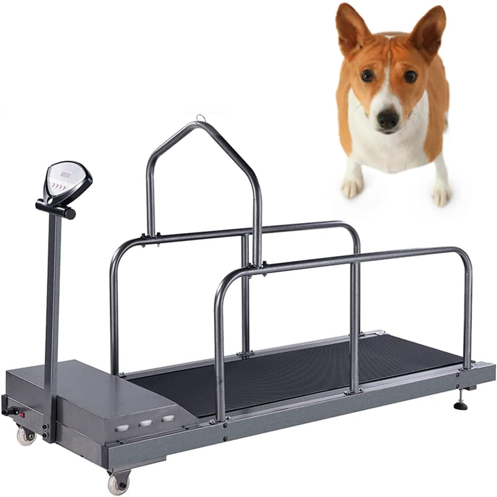 Hundelaufband FüR Kleine Hunde, Hundelaufband FüR Mittlere Hunde, 200w Motor, Geschwindigkeitsbereich 0,8–6 Km/H, Mit Neigungsverstellung Und Anzeigebildschirm, TragfäHigkeit 80 Kg
