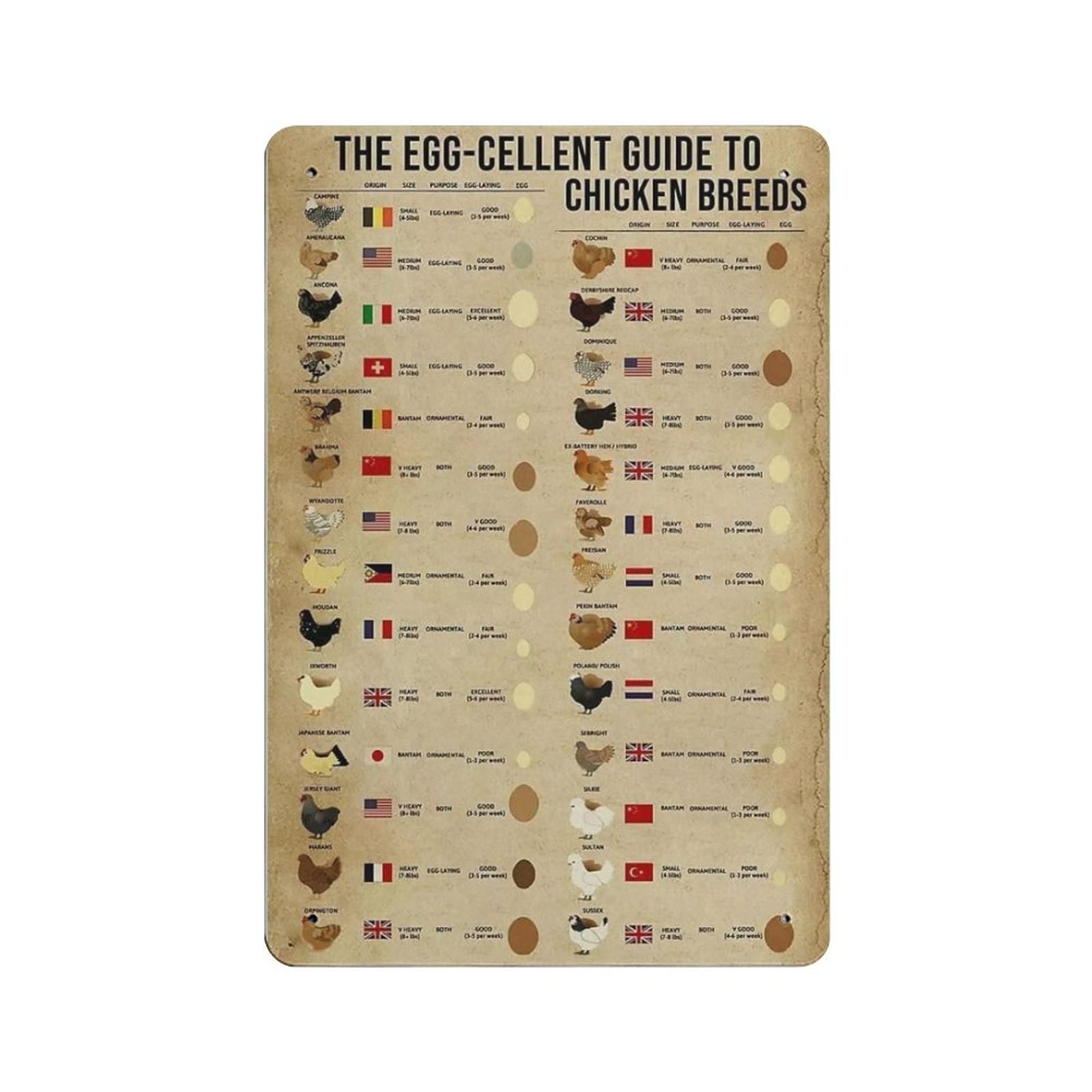 AOOEDM The Egg-Cellent Guide To Chicken Breeds Vintage Metal Tin Sign for Home Coffee Shop Office Wall Art Metal Poster Garage Decor Man Cave Sign Inspirational Quote Wall Decor