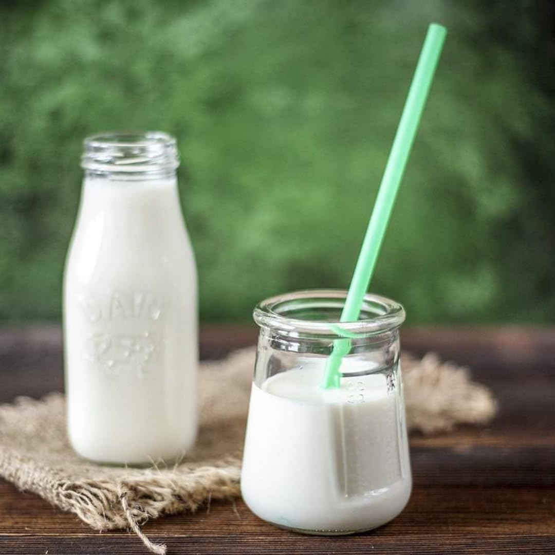 Joghurtgetränk Ayran anatolischer Joghurt-Drink Nach Anatolischer Art, Sonderproduktionsgetränk 250 ml,10 Er