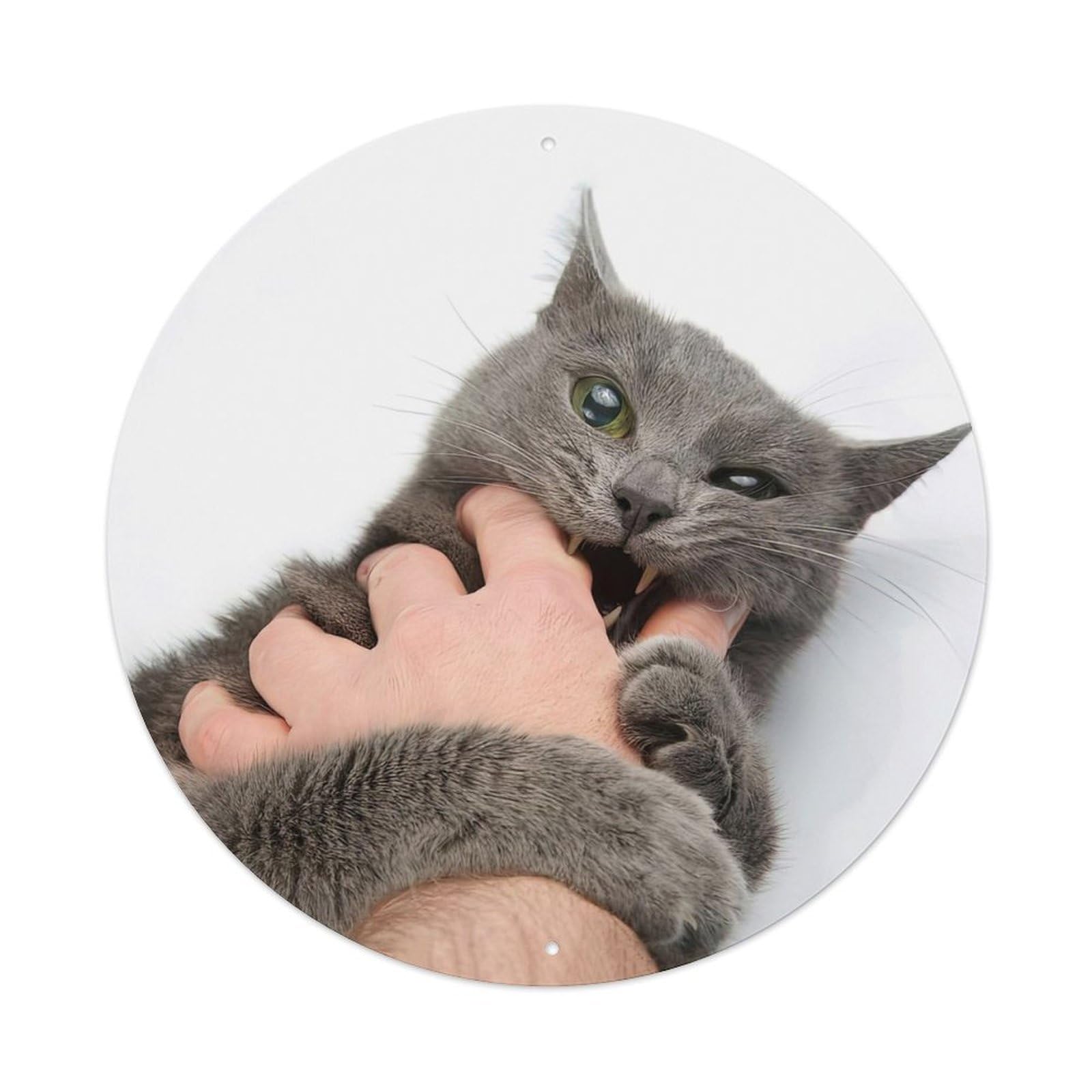 Funny Pet Poster Green Eyes Blue Cat Metal Tin Sign