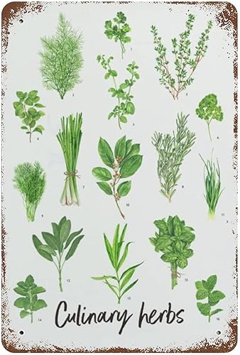 Culinary Herbs - Letreros de metal vintage para decoración del hogar, letrero divertido para cocina, bar, club, garaje, jardín, granja, decoración