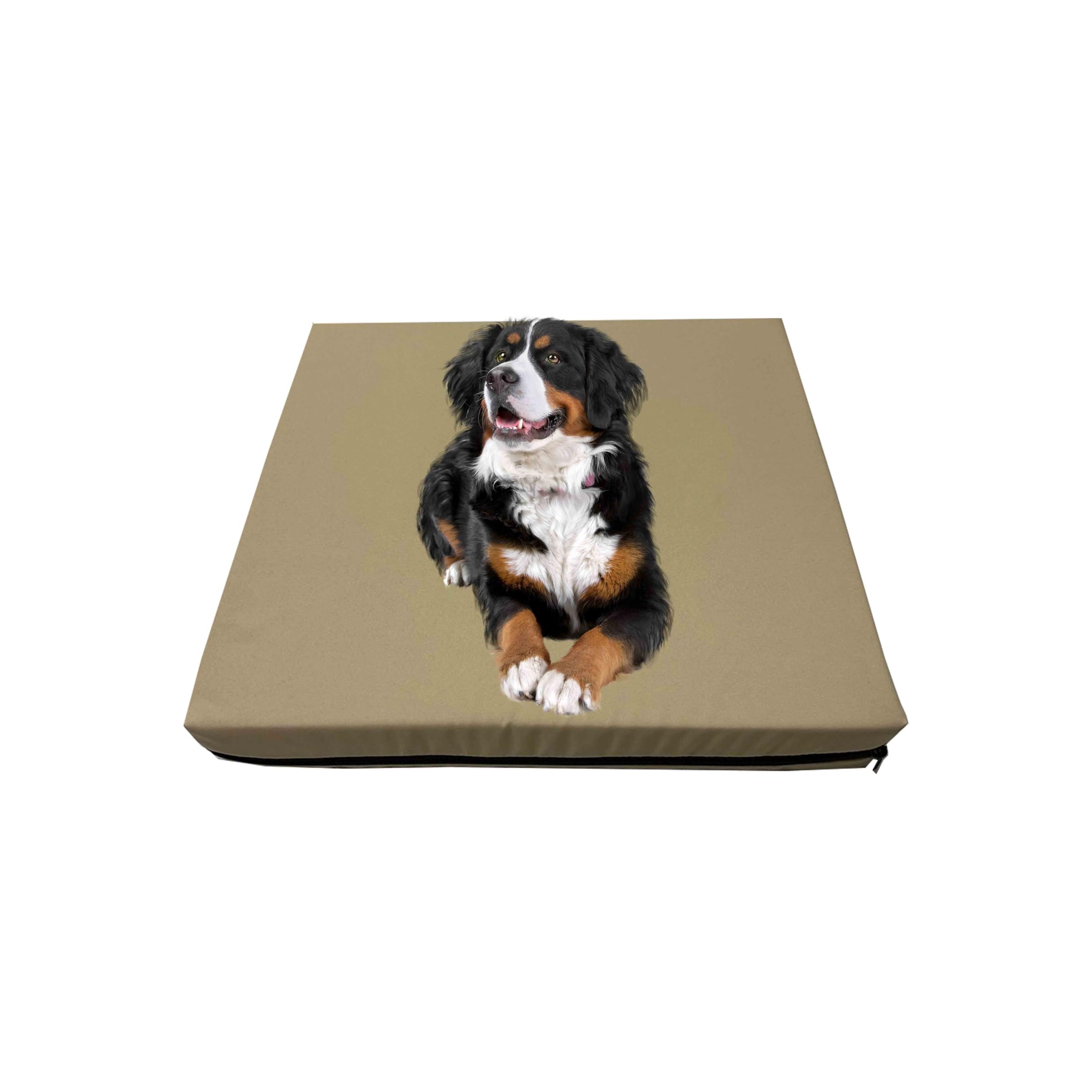 GRIZZLY FOAM Waterproof Dog Bed Cushion and Mattress for Indoor and Outdoor Use with Washable & Removable Zipped Cover and Custom (Sand, 77x52x5cm)