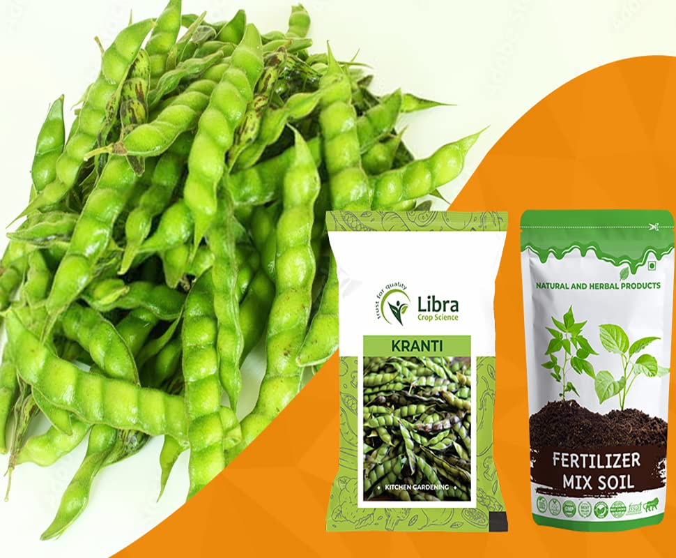 Pigeon Pea for Planting | Home | Garden | Farming | Vegetable | Kitchen | Hybrid | Terrace | Balcony | Eating | Guandules | Tur Fali | Tuver Sing | Tuvar Beans - 25 Gram : 173 Seed
