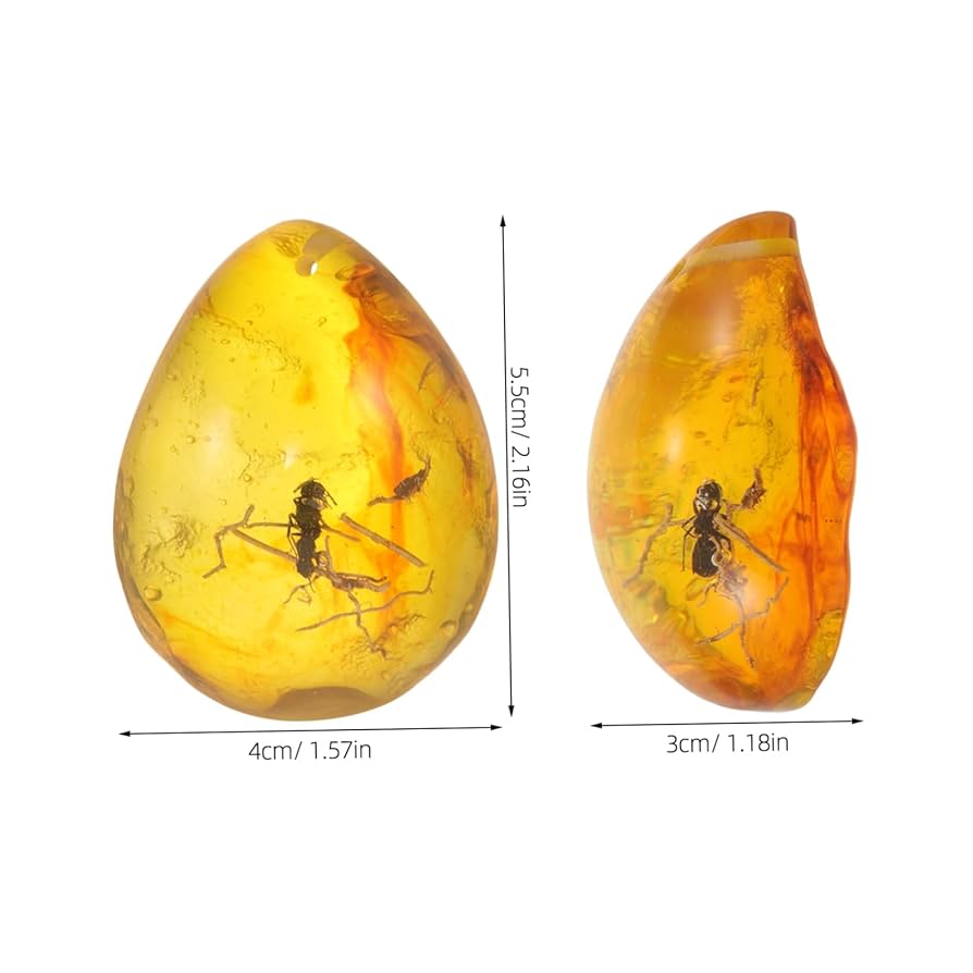 Amazon.co.jp: WRITWAA 昆虫琥珀の標 ペンダント 装飾