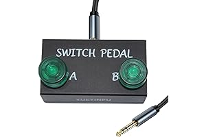 DUAL FOOTS SWITCH PEDAL