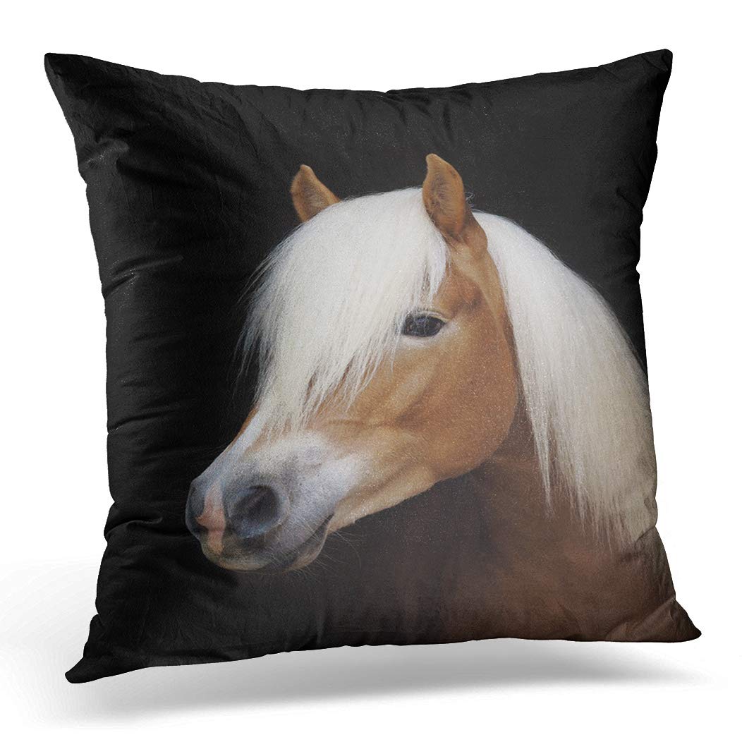 Awowee Cushion Cover 45x45cm/18x18inches Horse Head Shot of Haflinger Stallion Against Countryside Pony Home Decor Throw Pillow Cover Square Pillowcase for Bed Sofa