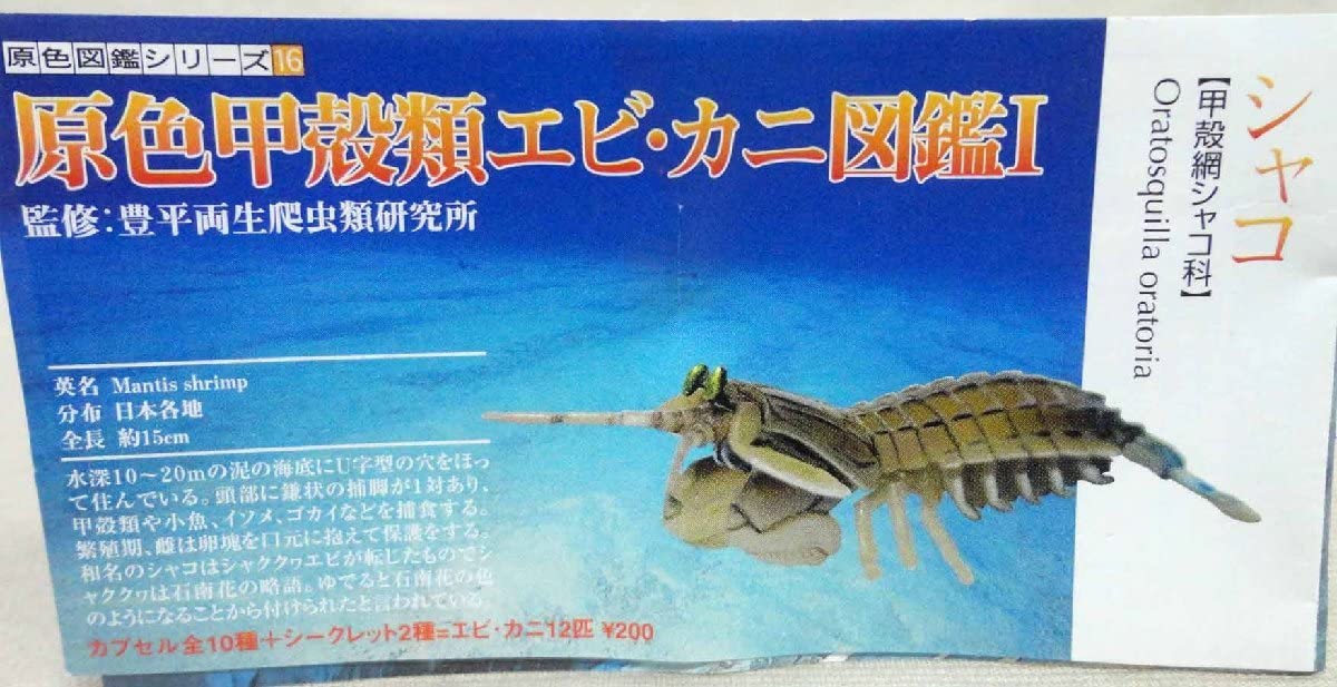 Amazon | 原色甲殻類エビカニ図鑑I シャコ 未使用 ユージン 原色