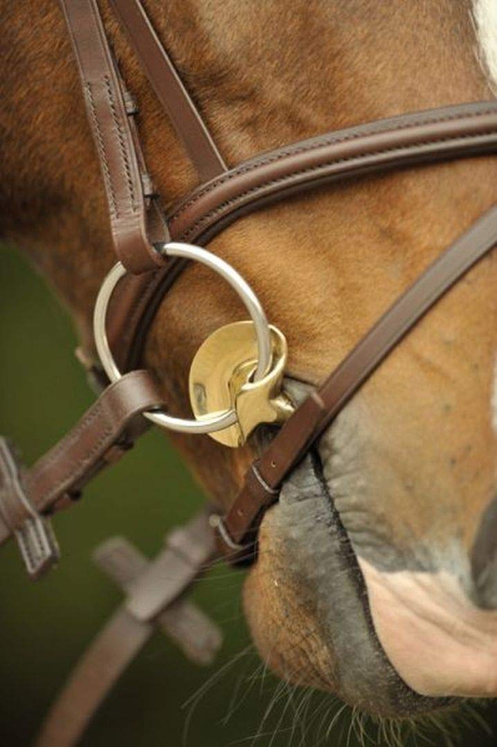 Stübben 2262 Golden Wings Snaffle Bit podwójnie uszkodzony