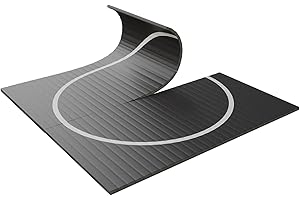 10' x 10' Clearance Wrestling Mats Jiu Jitsu Mats Wrestling Mats for...