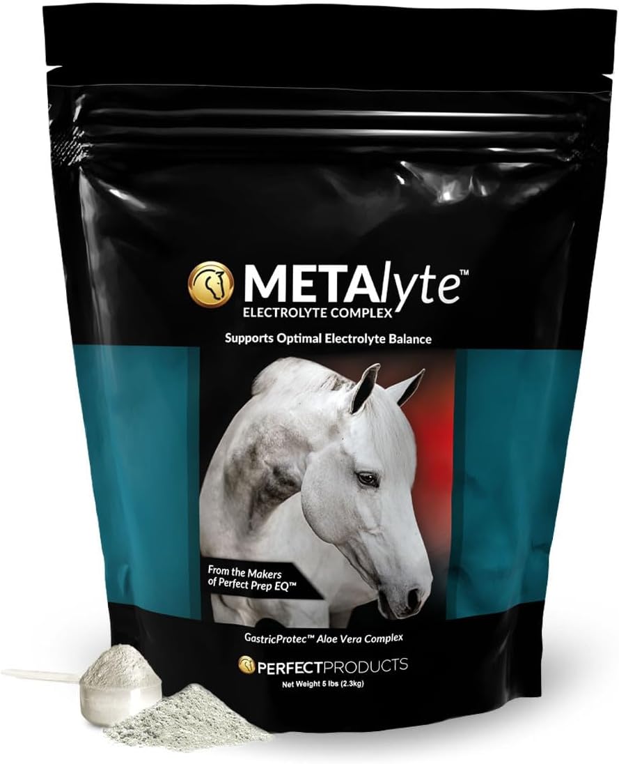MetaLyte Complete Equine Electrolyte with Gastric Soothing Aloe Vera, Great Tasting Powder Formula (2 lb, 60 Day Supply)