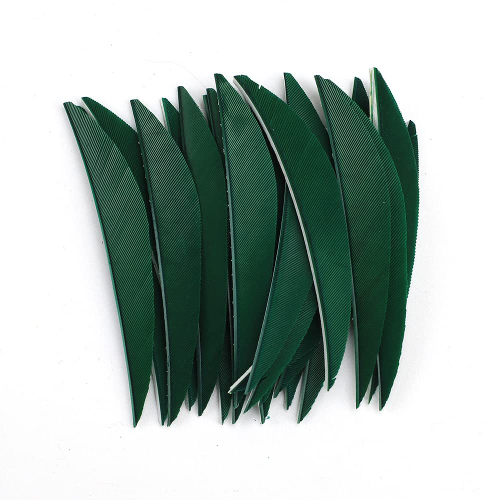 ACCMOS 3" Archery Fletching Banane Shape Arrow Feathers Hunting Arrow Wing Turkey Feather DIY Arrow Accessory 50pc (Green)