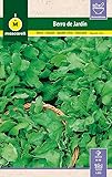 Mascarell Semillas, BERRO DE JARDÍN, Semillas de Hierbas Aromáticas para Plantar, Crea tu Propio Huerto en Casa, 15 Gramos