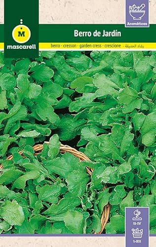 Mascarell Semillas, BERRO DE JARDÍN, Semillas de Hierbas Aromáticas para Plantar, Crea tu Propio Huerto en Casa, 15 Gramos