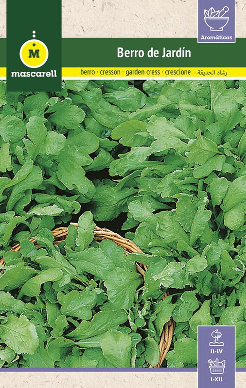 Mascarell Semillas, BERRO DE JARDÍN, Semillas de Hierbas Aromáticas para Plantar, Crea tu Propio Huerto en Casa, 15 Gramos
