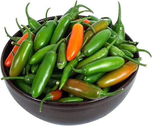 Miniatura 1 de Todd's Seeds Semilla de reliquia de pimiento picante Jalapeño Tam - Paquete de 0.04 oz