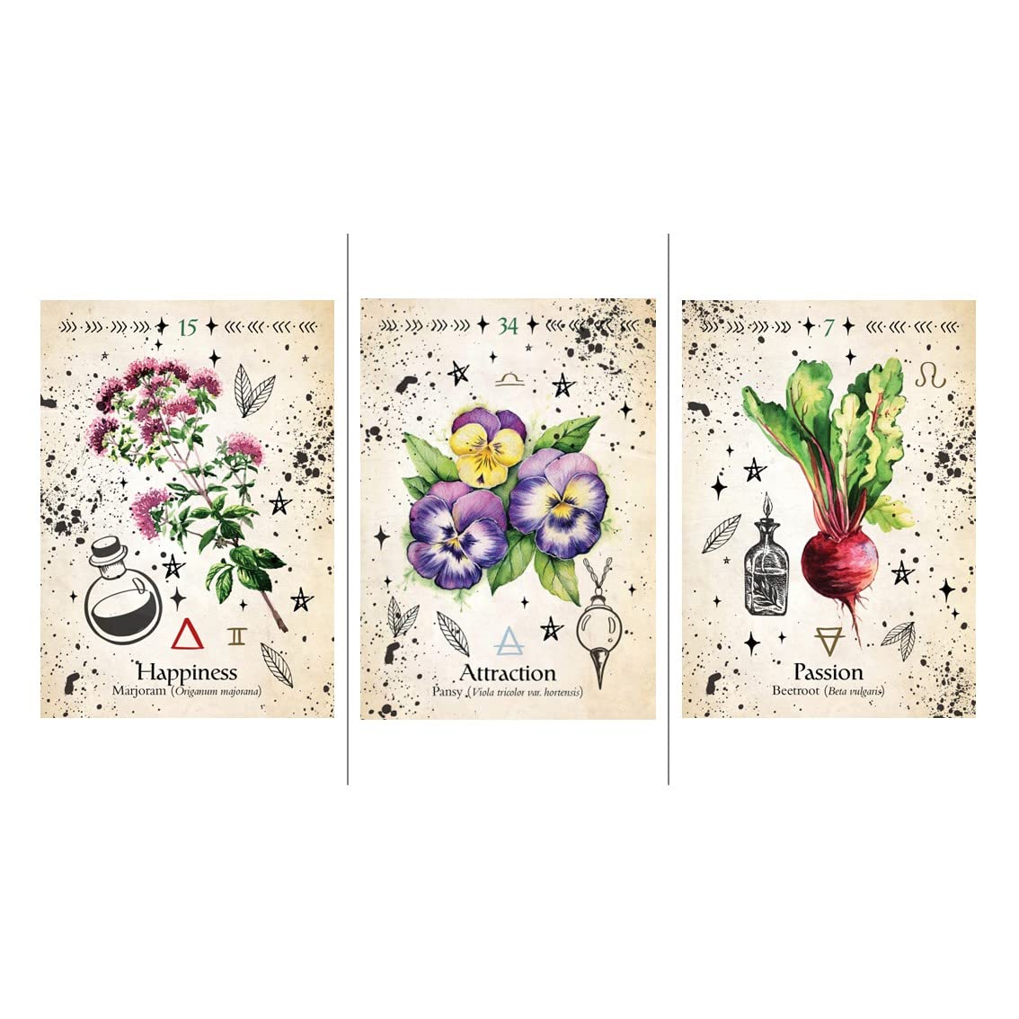 Amazon | Kancharo オラクルカード 44 枚 タロット占い【グリーン