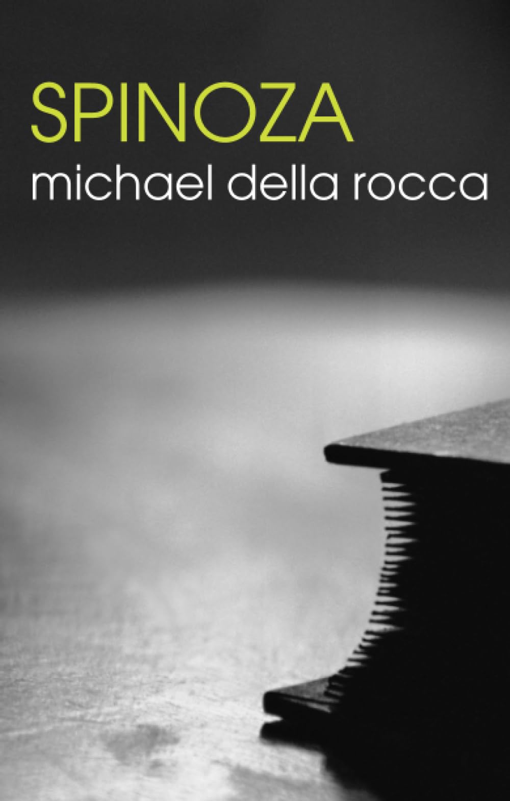 Spinoza The Routledge Philosophers by Michael Della Rocca PAPERBACK