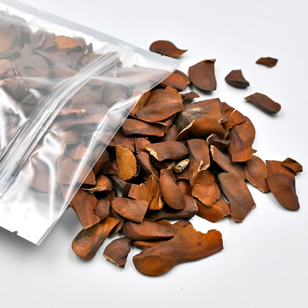 THH Organic Bitter Almond Diabetes Almonds Sugar Kadwa Badam-400 Gram 3