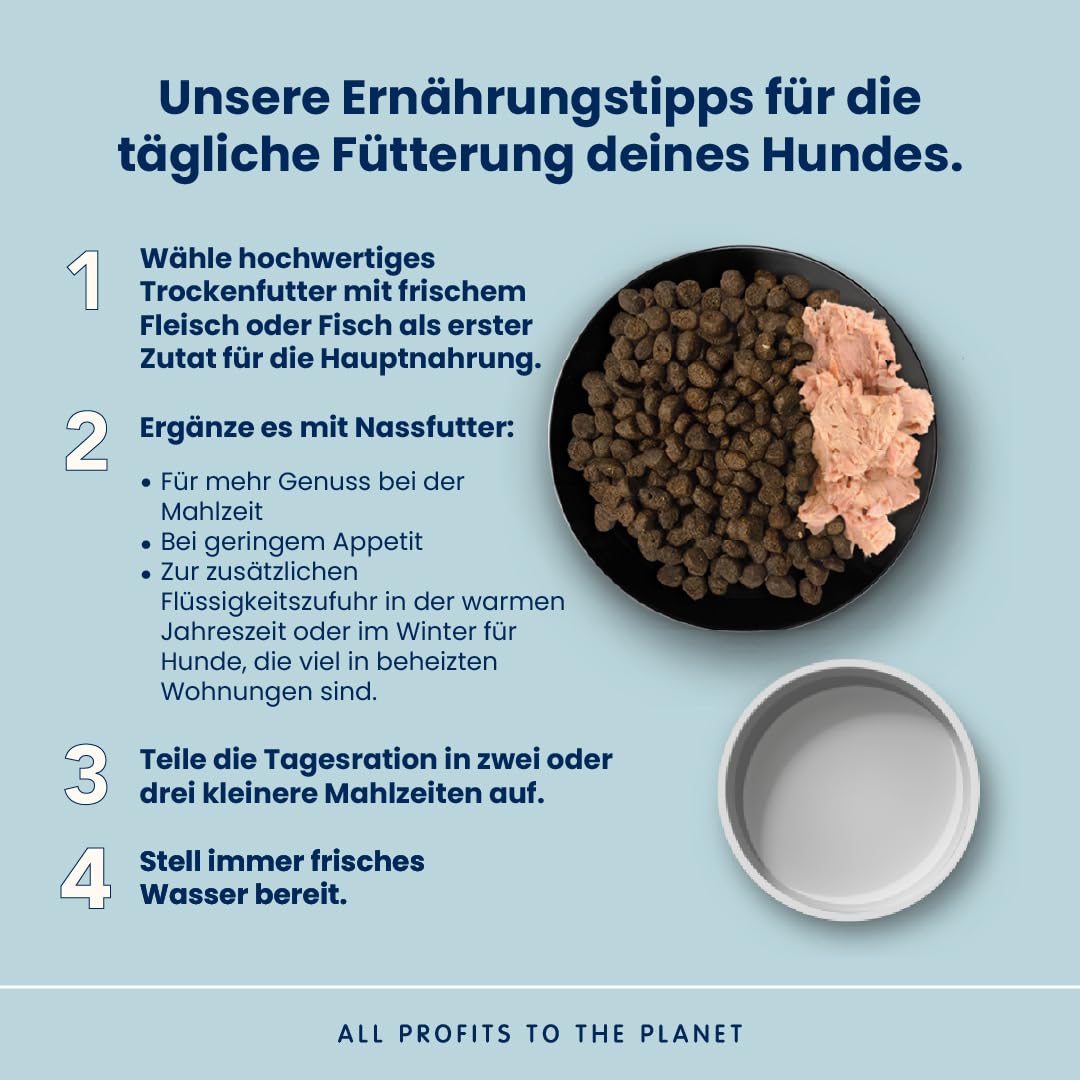 Almo Nature Life Maintenance Trockenfutter für Hunde M mit Lachs 12 kg – Alleinfuttermittel für ausgewachsene Hunde mittelgroßer Rassen