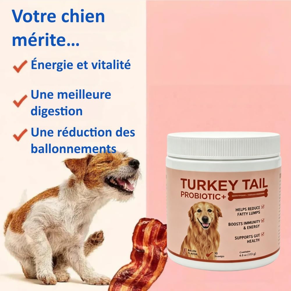Orealift Probiotiques pour Chiens,Facilite la Digestion