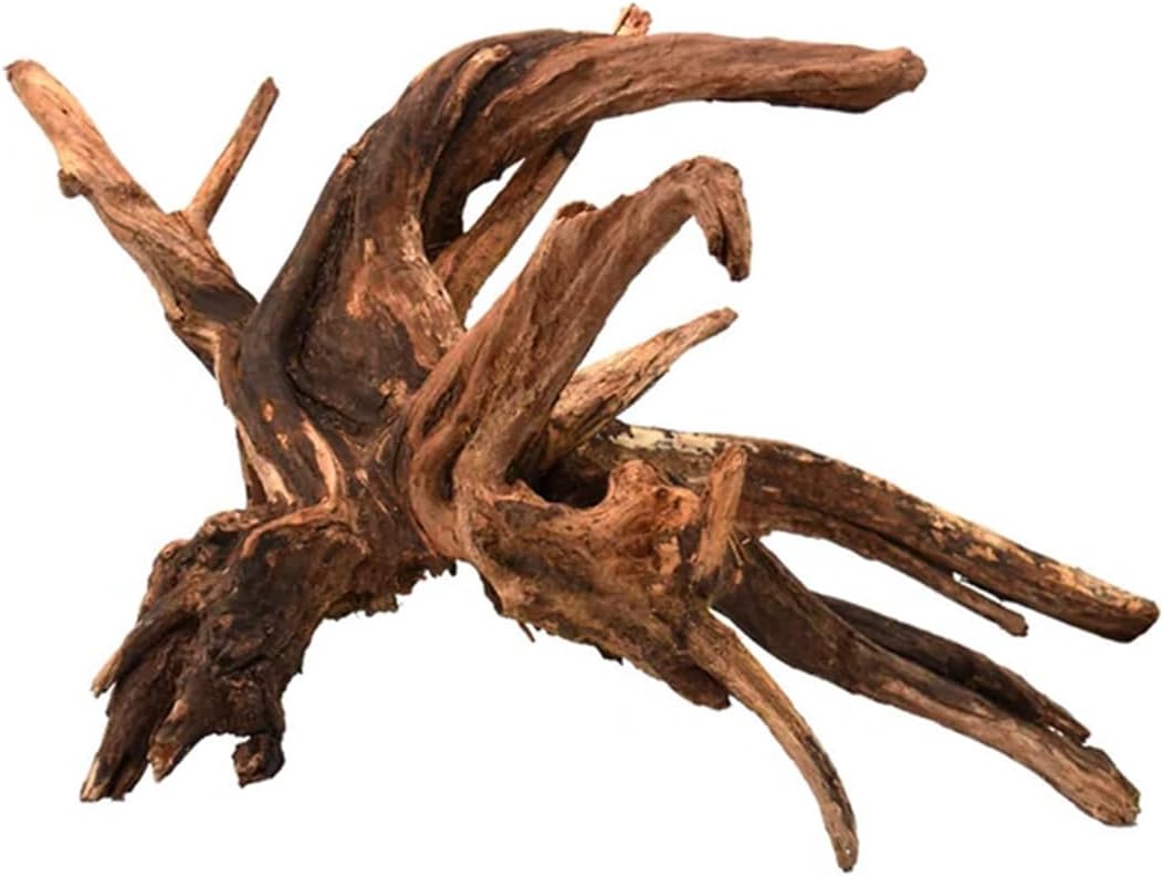 Amtra HOLZ MYSTIC WOOD - Olibetta