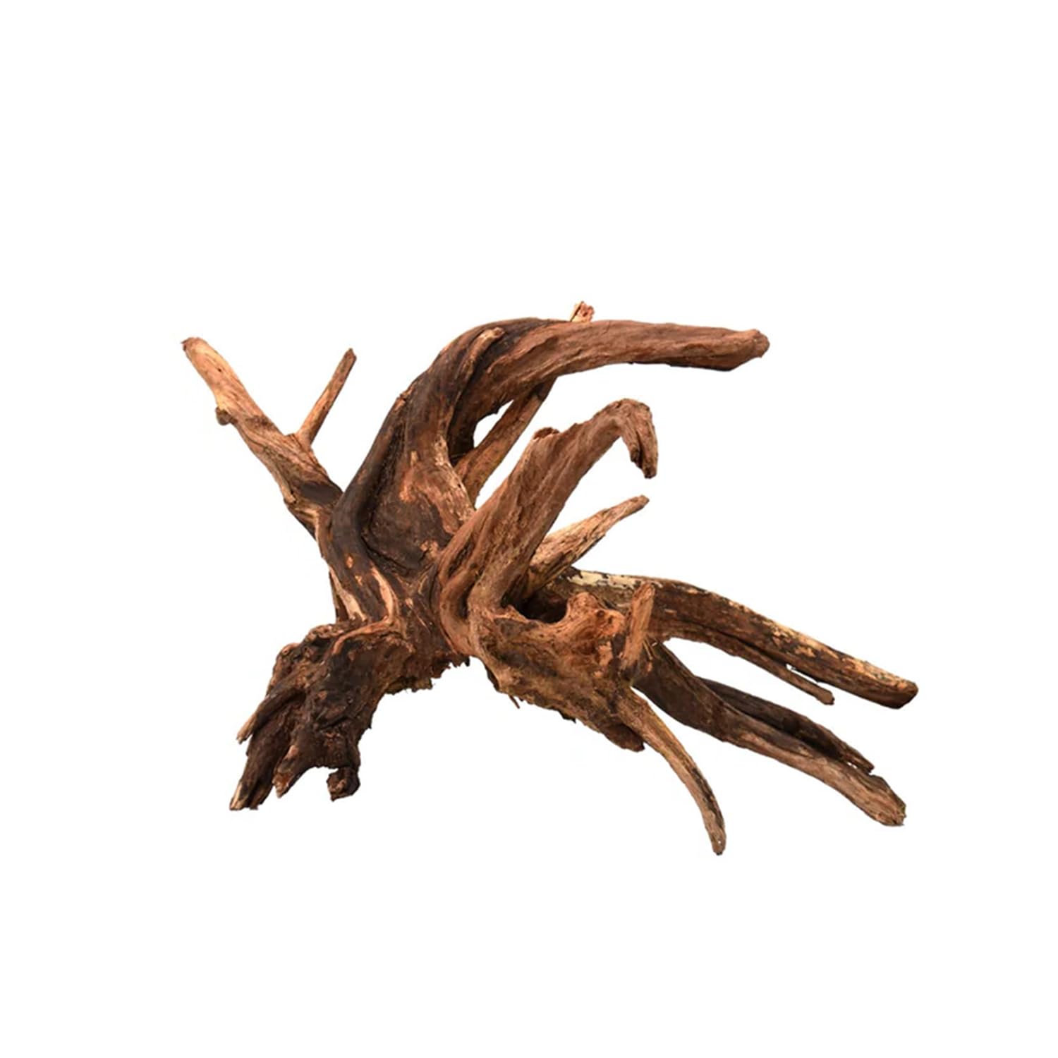 WabiFlur - Natural Drift Wood for Nano Garden Aquarium and Terrariums - Recreates a Wild and Unique Ambinet, Size Medium Single Piece 15-20 cm