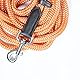 Pfiff 102936 Bodenarbeitsseil mit Lederklatsche, Sehr leichtes Nylon, Strick für Bodenarbeit, Orange, 600cm