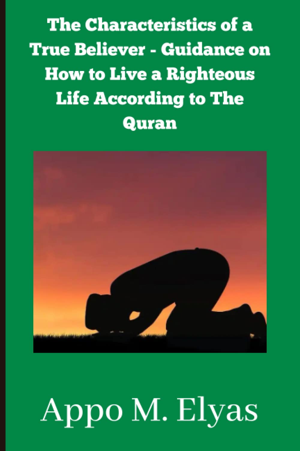 A True Believer: The Characteristics of a True Believer - Guidance on How to Live a Righteous Life According to The Quran: The True Characteristics of a Muslim