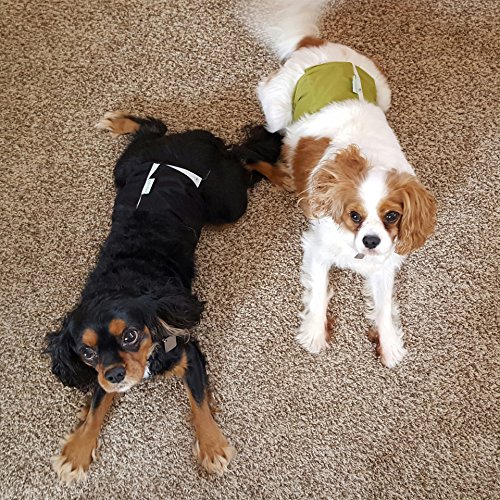 Image of wegreeco Washable Dog Diapers - Washable Male Dog Belly Wrap - Pack of 3 - (Black,Blue,Olive,Medium)