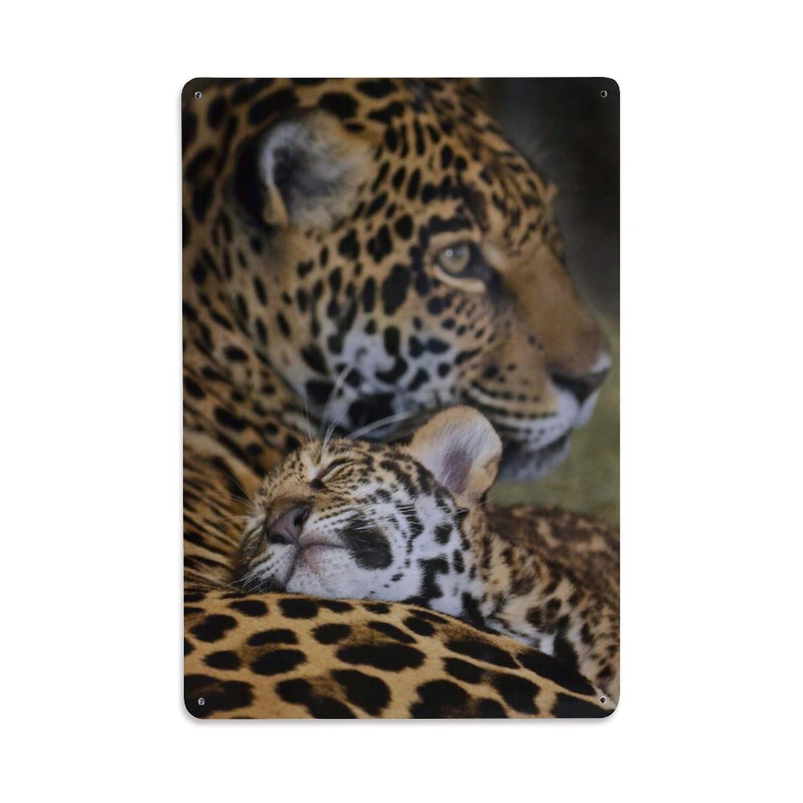 Fierce Predator Animal Wildlife Vintage Leopard Mother And Cub Metal Tin Sign Plaque Wall Decor for Cafe, Man Cave, Club Bar, Office, Home Garden Round Metal Poster 8x12Inch