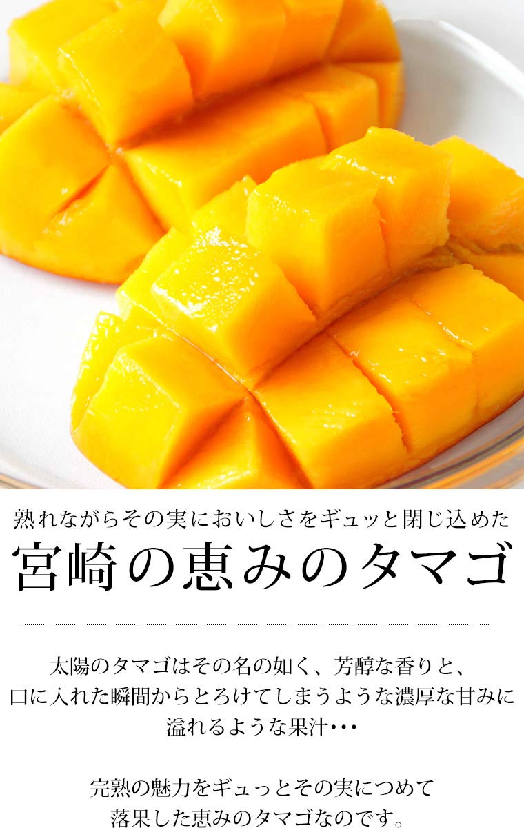 Amazon.co.jp: マンゴー 宮崎マンゴー 太陽のタマゴ 青秀 4Lサイズ 2玉