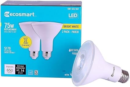 Ecosmart led light bulbs 75w Clearance
