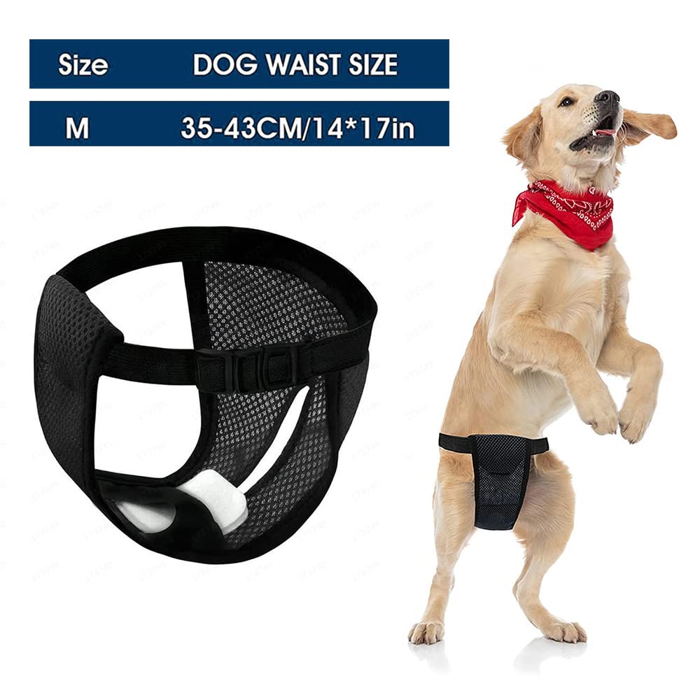Mesh Dog Period Pants Mesh Reusable Female Dog Nappies Mesh Female Dog Wrap Washable Wraps Panties Suitable for Small and Medium Dogs M - Image 4
