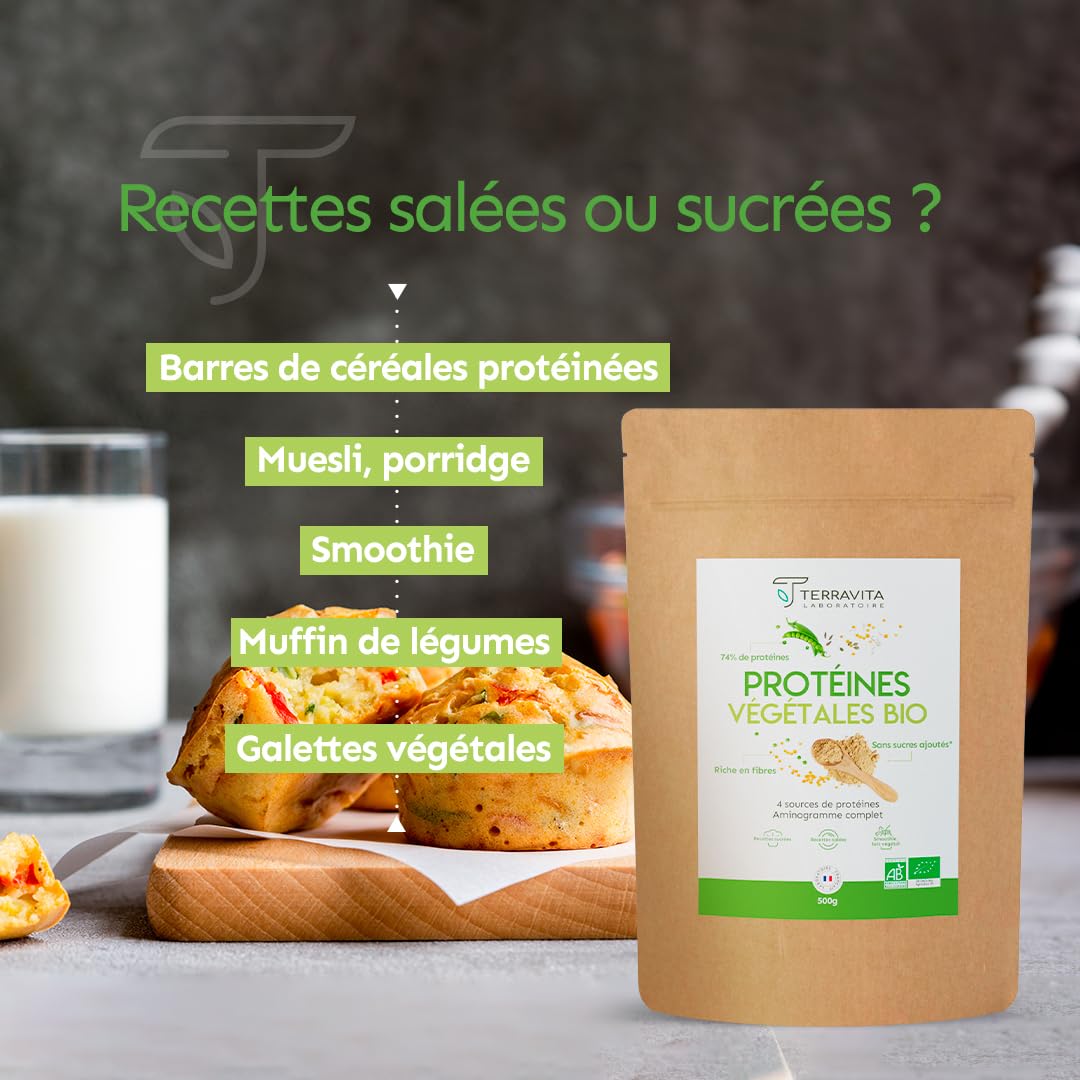 Protéines Végétales BIO | 4 Sources : Aminogramme Complet | Idéale en Shaker ou Recette | Mélange Onctueux sans Grumeaux | 500g Goût Neutre | Sans Excipients & Vegan | Made in France | Terravita