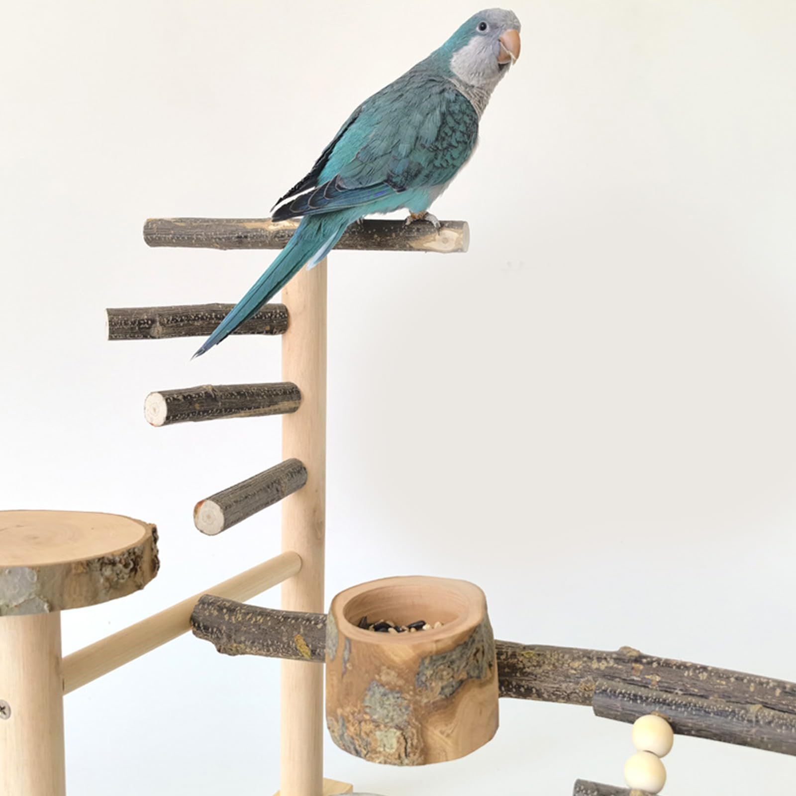 Perchoir de dressage pour oiseaux avec mangeoires pour perroquets de petite et grande taille