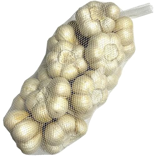 XYɂɂ 󂠂i kTCY 1kg