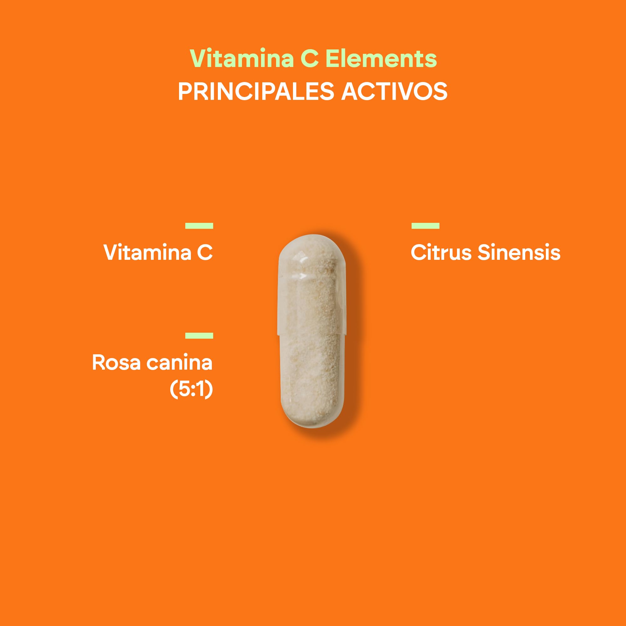 VITAMINA C 1000 mg con + Rosa Canina Ácido Ascórbico - Defensas + Cansancio - Antioxidante - Bioflavonoides + Vitamin C - 180 Cápsulas Veganas Nutralie
