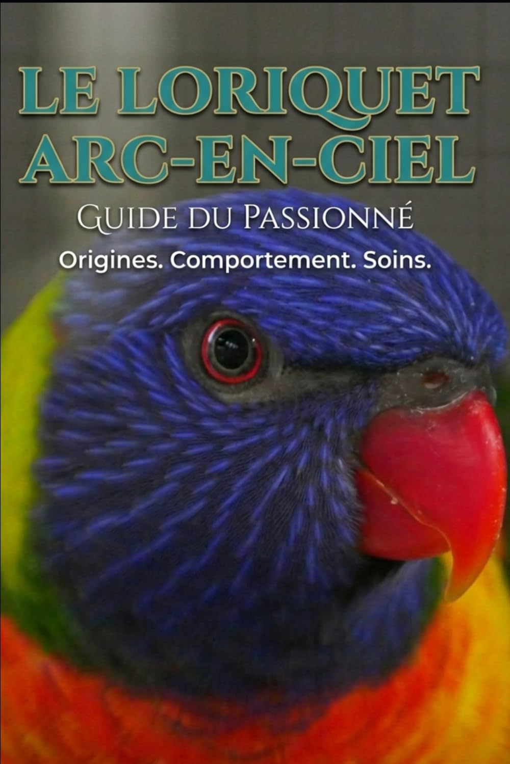 le guide du passionné: le loriquet