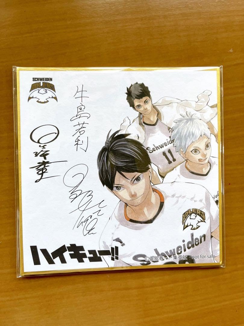 ハイキュー‼︎ 完結記念 サイン入り ミニ色紙 2枚セット ハイキュー
