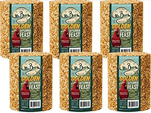 1 Count (Pack of 6)