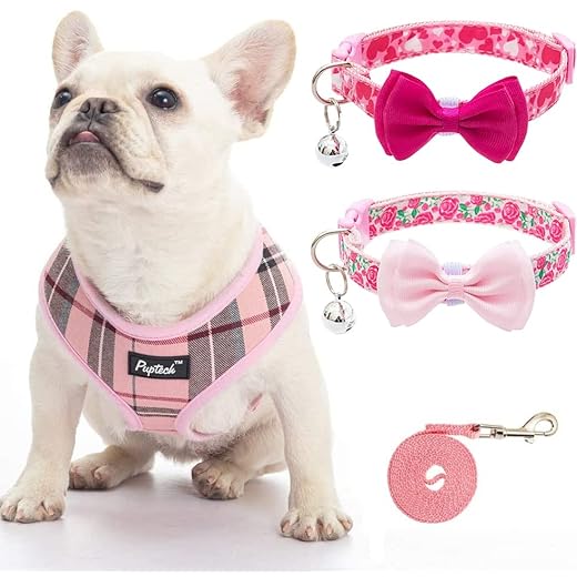 PUPTECK Soft Mesh Dog Harness Leash with 2 Pack Collars Set