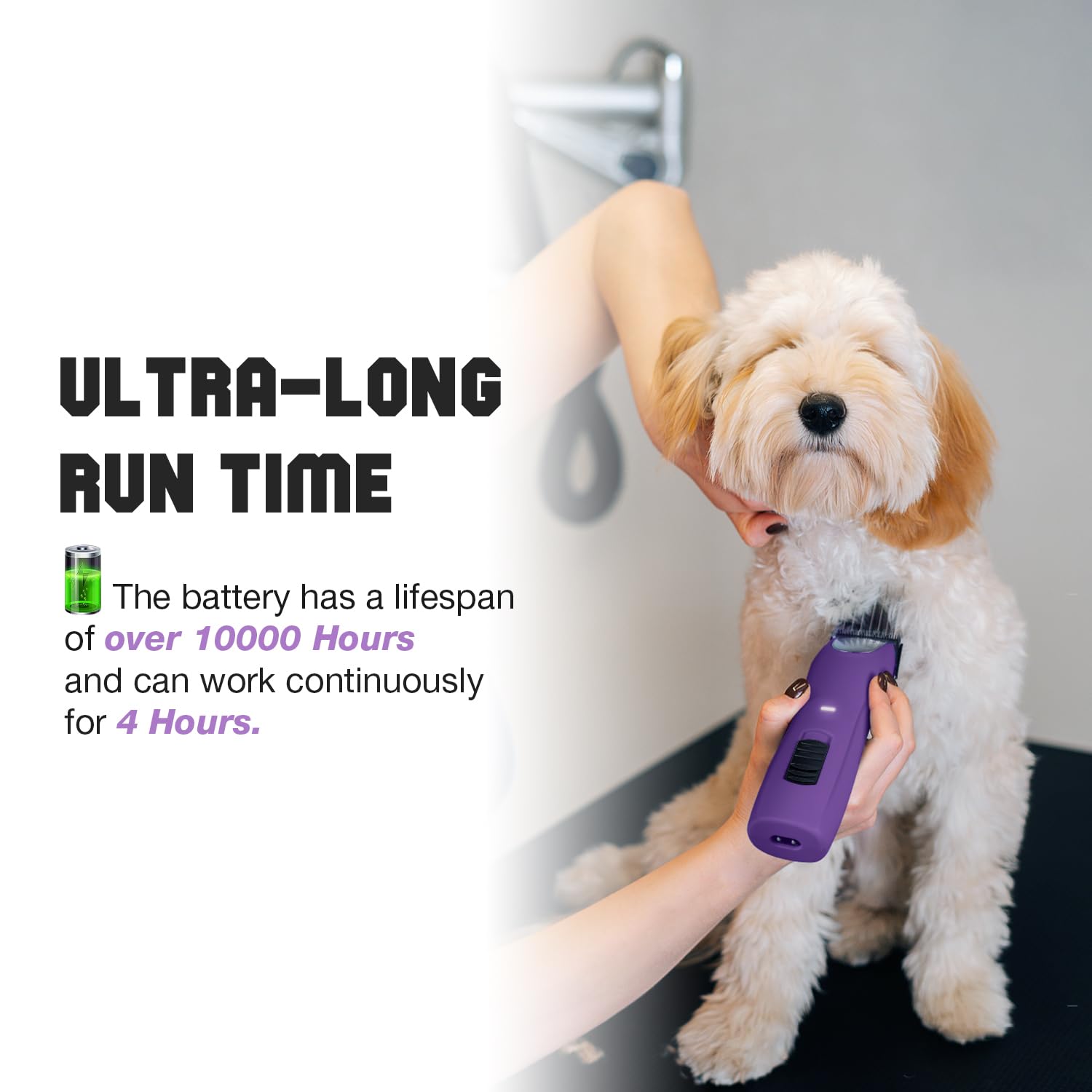 Tondeuse professionnelle pour chien avec moteur sans balais Violet