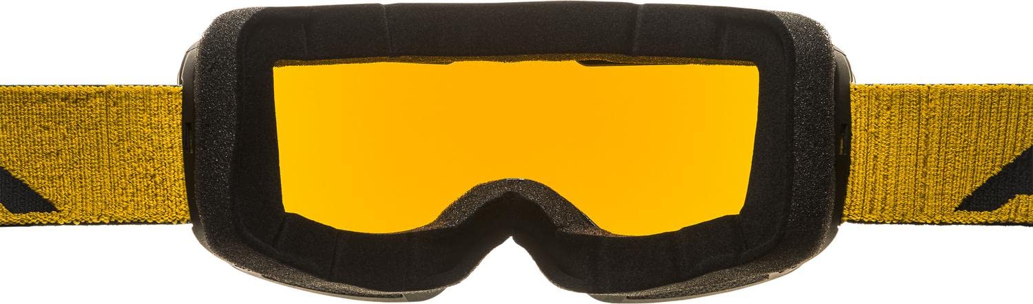 ALPINA Nendaz Q-lite Occhiali da sci Unisex - Adulto (Pacco da 1)