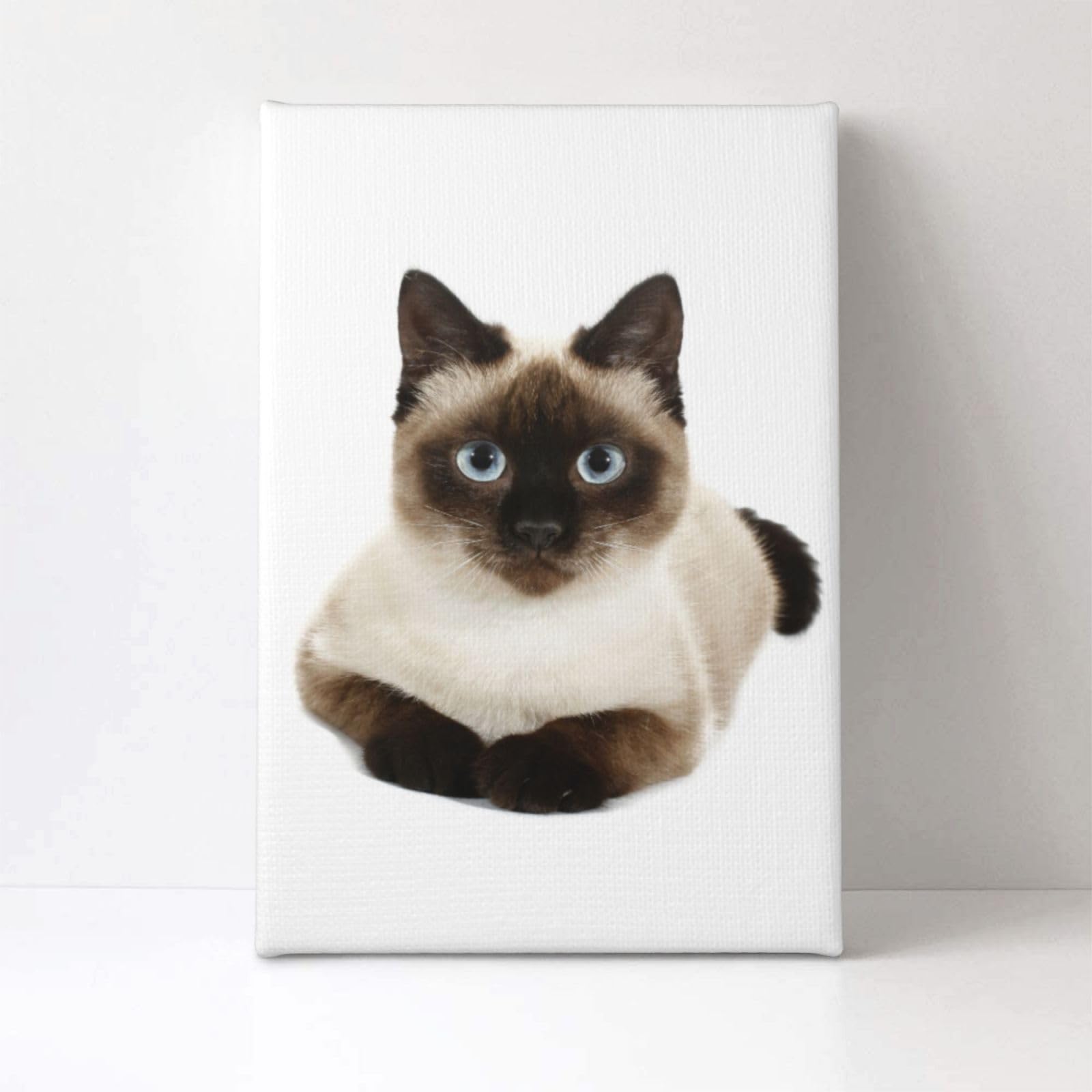 Amazon.co.jp: アートポスター フレーム 装飾画 シャム猫 シャム写真