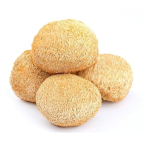 Zercumm Monkey Head Mushroom 250G Dry Goods Northeast Wild Monkey Head Mushroom Mushroom Sulfur-Free Soup Ingredients