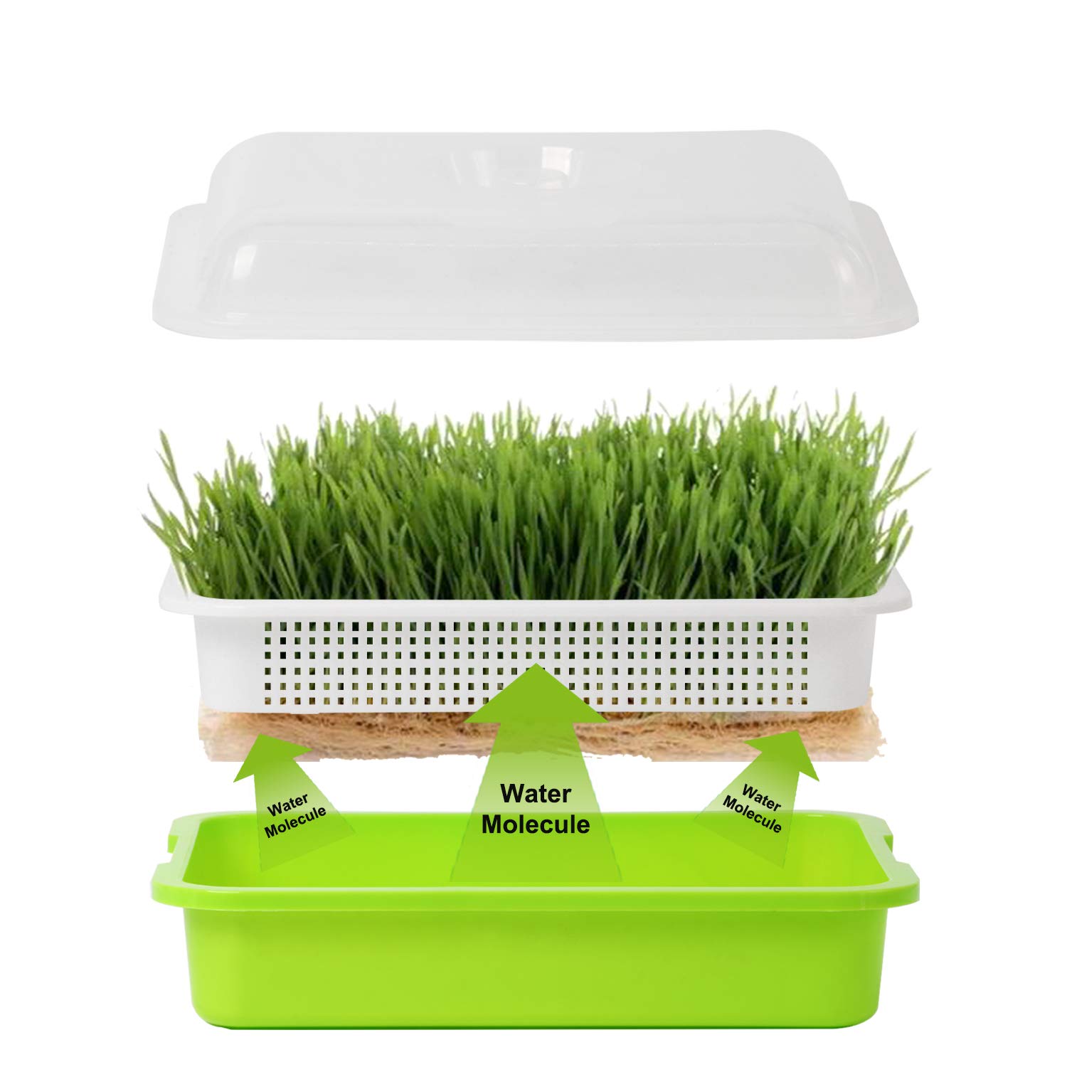 Homend Seed Sprouter Tray with Lid, Seed Germination Tray BPA Free