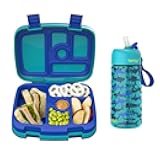 Kids Prints Lunch Box Kids Water Bottle - New & Improved 2023 (Sharks)