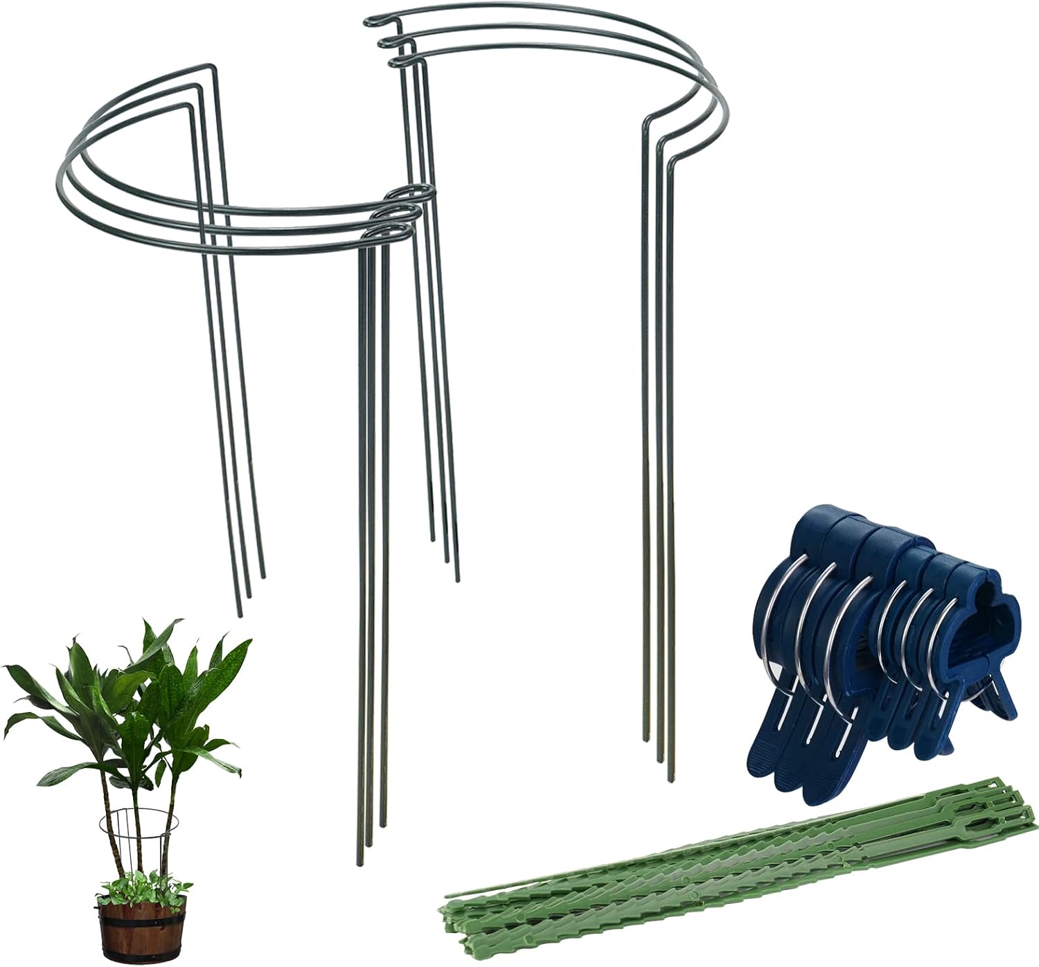 Citrine Garden Plant Support Stake, 6Pack Metal Half