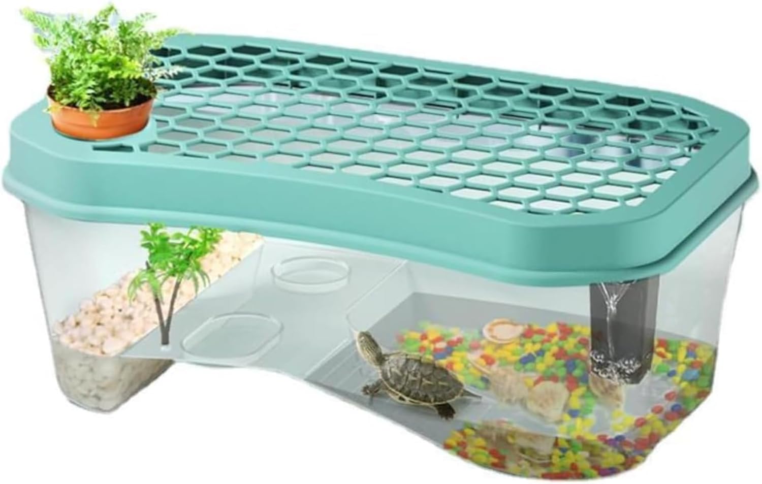 楽天市場】ケージ 爬虫類 60 30の通販 爬虫類 ケージ モクモク