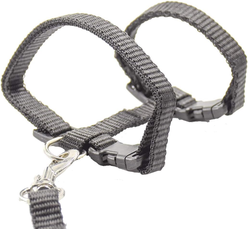 XPangle Cat Harness and Leash Adjustable Nylon Halter Harness Kitten Nylon Strap Belt Safety Rope Leads (Black)